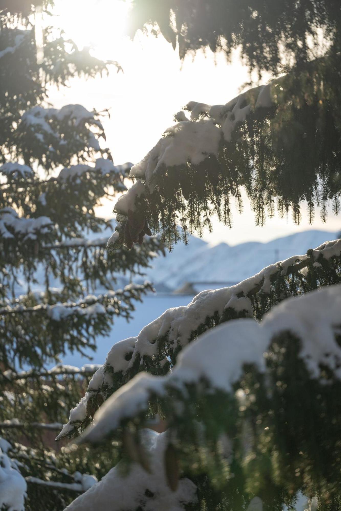 Chalet Alpe D'Huez 1850-Sea And Mountain Pleasure Avec 2 Appartements- 1 Appartement 3 Chambres 8 Couchages - 3 Salles D'Eau Et 1 Appartement 5 Chambres 12 Couchages 5 Salles D'Eau - Jacuzzi Et Sauna -Pieds Des Pistes Et Centre Εξωτερικό φωτογραφία